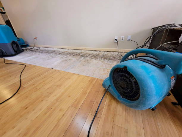 Professional Structural Drying technician working in Ridgefield, WA